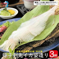 呼子 剣先 イカ姿造り 3杯 玄界灘 CAS凍結【 冷凍便・送料無料 】( 剣先イカ 剣先 ヤリイカ イカ いか ヤ…