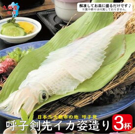 呼子 剣先 イカ姿造り 3杯 【 冷凍便・送料無料 】( 剣先イカ 剣先 ヤリイカ イカ いか ヤリイカ刺身 姿造り 活き造り いか刺身 イカ刺し イカ刺身 いか刺身 呼子 佐賀 九州 国産 贈答 ギフト )
