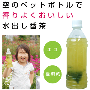 楽天市場 お茶 ティーバッグ ティーパック ペットボトル用水出し番茶3g p 2袋 水出し緑茶 水出し茶 冷茶 マイボトル 水筒用水 ポスト投函便送料無料 通年取扱商品 お茶通販の長峰製茶