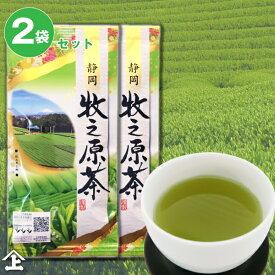 2023年度産 お茶 牧之原茶100g×2本　静岡茶 煎茶　静岡の茶草場農法のお茶　冷茶　ポスト投函便送料無料