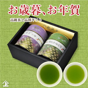 Ε N  Mtg 2025NxY ŒZ t j  v[g Mtg pI   Mtg lCi YA-1  蕨 {   Ԃ j i a