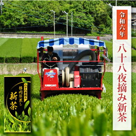 予約 2024年 新茶 新茶予約 静岡茶 お茶 八十八夜摘み 新茶 80g 2024年度産 静岡県産 深蒸し茶 ポスト投函便送料無料