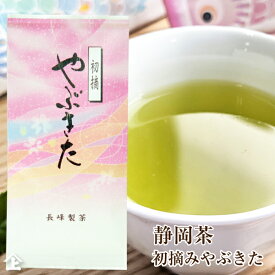 2025年産 茶葉 静岡茶 静岡 2025年産 静岡茶 初摘やぶきた100g 初摘み やぶ北茶　お茶 煎茶 ポスト投函便送料無料