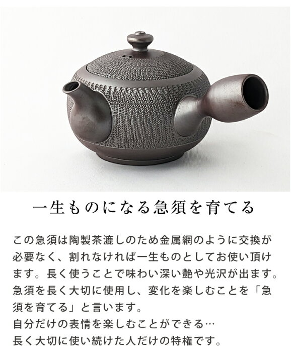 楽天市場】急須 萬古焼 舘正規 ビリ 平急須 満量230cc 紫泥 正規窯 