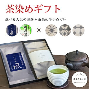 t Mtg  Mtg ƒߔ ʂ Mtg 蕨  ؐ ^I ^yXg[  C~ CeA  ؐACe VR gp i` G