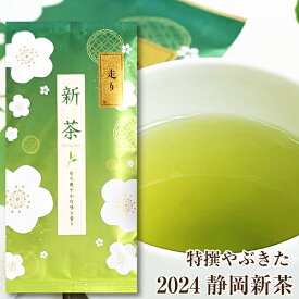 新茶入荷！静岡茶 静岡 2024年産 特撰 やぶきた 100g 走り お茶 煎茶 緑茶 日本茶 やぶきた茶 ポスト投函便送料無料