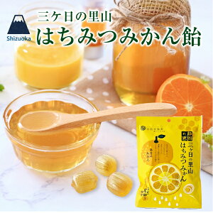 ŒZ ݂͂  LfB ݂ W ÐM O̗R݂͂݂ 70g sgp Fsgp