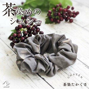 VV 傫 ؐ wAANZT[ l 킢 O[ É R   { l  |Xg  VR i` GVJMtg ɗD