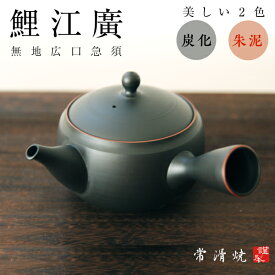 鯉江 廣　無地広口急須常滑焼〔玲光窯〕 鯉江 廣 国産急須 ギフト 送料無料