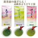 セール 高級茶葉の蔵ざらえ!鹿児島茶と静岡茶の3種類から選べる100g×2袋 ポスト投函便送料無料