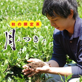 茶葉 お茶 静岡茶 深蒸し茶 月-つき-100g 又はティーバッグ3g×8P×2袋 煎茶 コク深く濃厚な旨みが頂けるおいしい秋の限定茶 丸尾さん豊沢のお茶 日本茶 ポスト投函便送料無料 秋 グルメ
