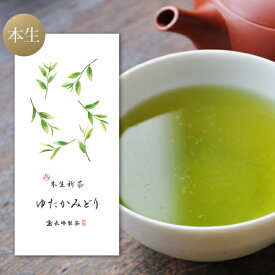 予約 2024 人気 2024年 新茶予約 新茶 本生 ゆたかみどり100g お茶 鹿児島茶 煎茶 本生仕上げ 緑茶 日本茶 お取り寄せ エピガロカテキンガレート ポスト投函便送料無料