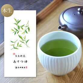 予約 2024年 新茶 新茶予約 本生あさつゆ100g お茶 鹿児島茶 煎茶 本生仕上げ 緑茶 日本茶 お取り寄せ ポスト投函便送料無料