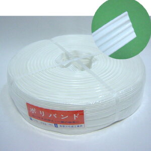 @|ohinEXohj5@15mmX500m@ikCAꁏ1500ʓrKvj80size