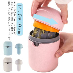 ʏ` Mtg ʏ`i t[ci v[g  ڂ i ڂ i lԍHw ڂ t[cڂ 킢  蓮W[T