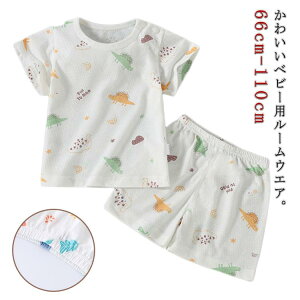 xr[ ĕ ㉺Zbg ̎q ZbgAbv tVc Zp Y{ 2_Zbg Rbg [EGA  pW} LbY Aj} 킢 j̎q ct ʉ oYj Mt