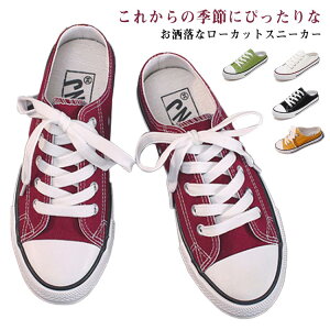 Xj[J[T_ fB[X JJgȂ Xj[J[ LoX T_ Xb| EH[LOV[Y y ʋC y y JWA RtH[gV[Y t  ʊw w 