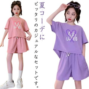 ZbgAbv  W[W q ZbgAbv ̎q ][g WjA V[gpc  gbvX Y{  X|[cEFA ㉺Zbg LbY ؍q ǂ JWA