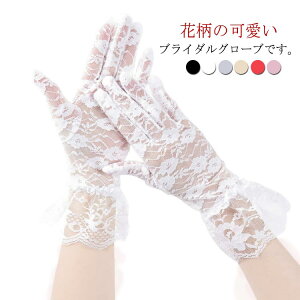 uC_ANZT[ I  Ă΍ [XO[u EGfBO   A[Jo[ lC nEC 񃉃bt t[[X V[gO[u p[eB