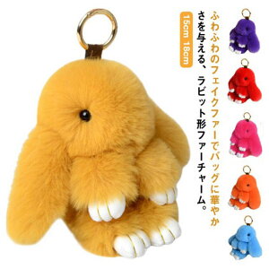 yzt@[`[ ` 15cm 18cm L[`F[ obO`[  ӂӂ t@[ `[ e  y_g ANZT[  L[z_[ l  H ~ J