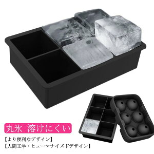 XM X X@ ACX{[ ەX nɂ X bNACX r[ ECXL[ nC{[ W[X JsX (ی^{lp^)