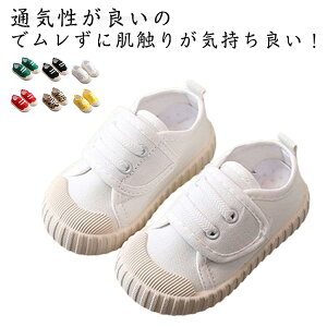 j̎q qC  㗚 킮 n ̎q C q ΂  K ۈ珊 ct  wZ 㗚 LbY qp  ۈ牀 XN[V[Y qC 