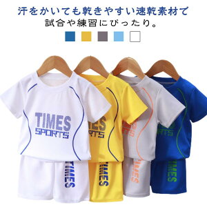 q X|[cEFA TVc LbY ZbgAbv  w  TbJ[ WjA V[gpc X|[c g[jOEFA j̎q ^ XeeR ̎q  120 c ʉ 