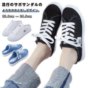 Ȃ fB[X ₷ t ₷ Y jZbNX Xj[J[ LoX T_ ƂȂ y Xb| y  jp tbgV[Y Xj[J[T_