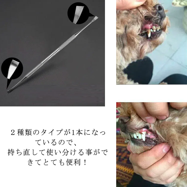 大人気! 歯石取り 犬 猫 ペット用 スケーラー 歯石除去 歯磨き 虫歯予防 器具