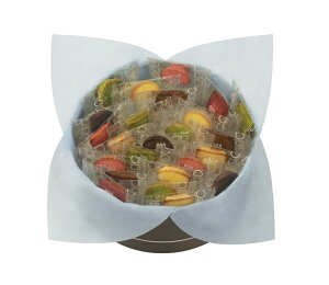 [�A�����E�V�����p���e�B�G]�v�e�B�E�K�g�[�E�A�\���e�B 24�� HPG-20N2