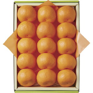 DEl15 1122b[2025Ε]11{珇i͂wsj