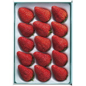 VhEXgx[ 52108[2025Ε]12{珇i͂wsj