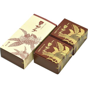 |EI̎q2R K02[2025Ε]