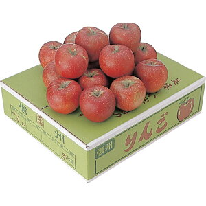 {_ETӂ 5kgi14`16ʁj[2025Ε]11{珇y͂wsz