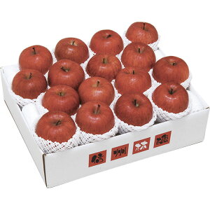 VEuꍂTӂ5kg 1020106031[2025Ε]12{菇y͂wsz