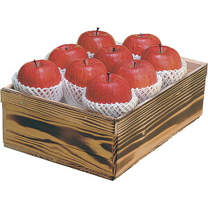 VEuꍂTӂؔ 1020106010[2025Ε]12{菇y͂wsz