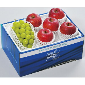 쌧YETӂGVC}XJbg 1025001003[2025Ε]11{珇y͂wsz