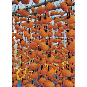 JAS_Esc`̊`[2025Ε]12{菇y͂wsz