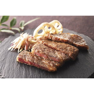 sEFkXEјa̖XЂ TTF-KBM-50SK[2025Ε]