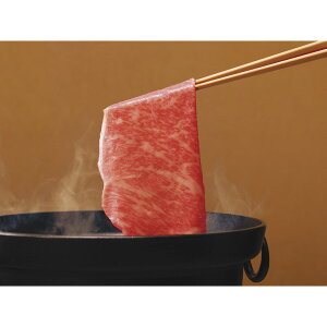 `EјaԂԗp KUSA100A[2025Ε]