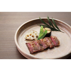 ԍ⏼tEјaXЂ ZA-100[2025Ε]