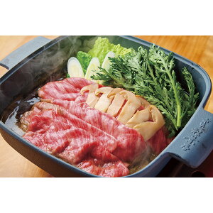 ԍ⏼tEƔˋĂ ZE-100M[2025Ε]