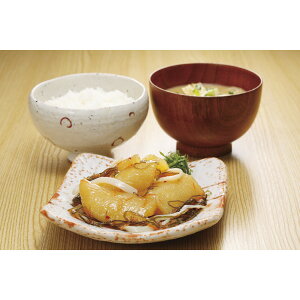 kCEYEkCY̎qgp ̎qO SI-268[2025Ε]