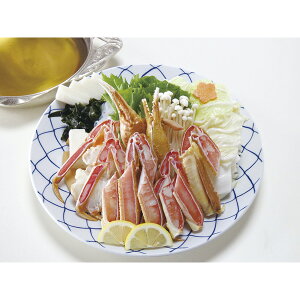 Dyɖ{ƁEYCɂ SNB-5[2025Ε]