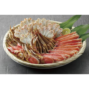 @{킢Ƀr[hJbg GT00P1347A[2025Ε]