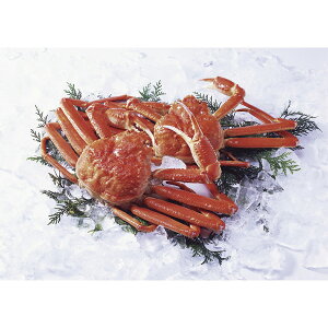 {킢Ɂipj GS17P1347A[2025Ε]