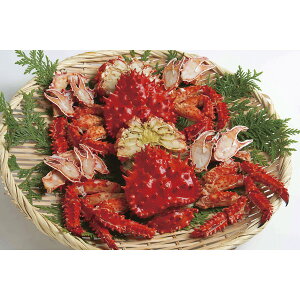 kCY@ŉԍ炪ɃJbg2 430265[2025Ε]