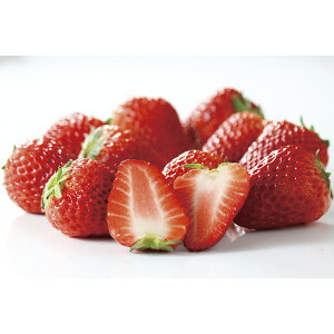 ቷn͔| 嗱gق bhp01[2025Ε]͂ws