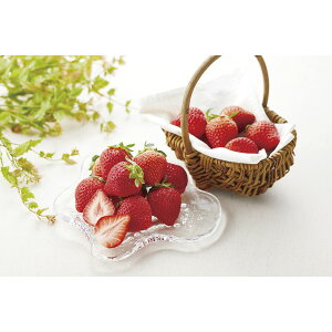 JAӂ ܂ B25041[2025Ε]12{菇y͂wsz