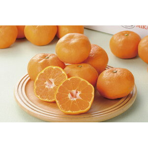 t[c[hEO݂ 2.5kg5042601[2025Ε]͂ws